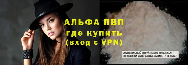индика Каменск-Шахтинский