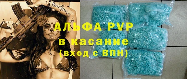 сатива Каменногорск