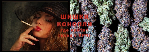 сатива Каменногорск