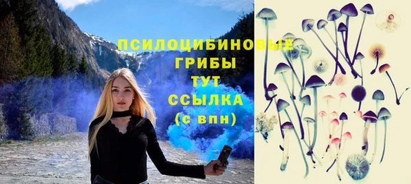 прущие крисы Инсар