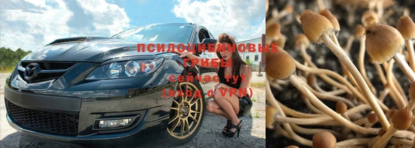 крисы Чекалин