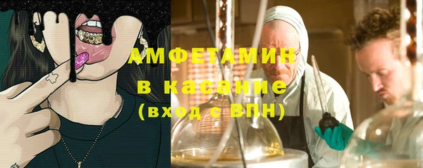 индика Каменск-Шахтинский