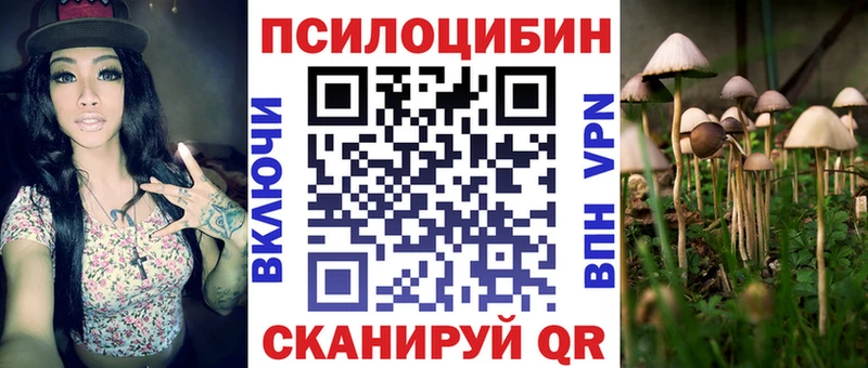Галлюциногенные грибы ЛСД  Каменногорск 